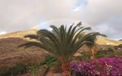 Chipi-chipi op Tenerife