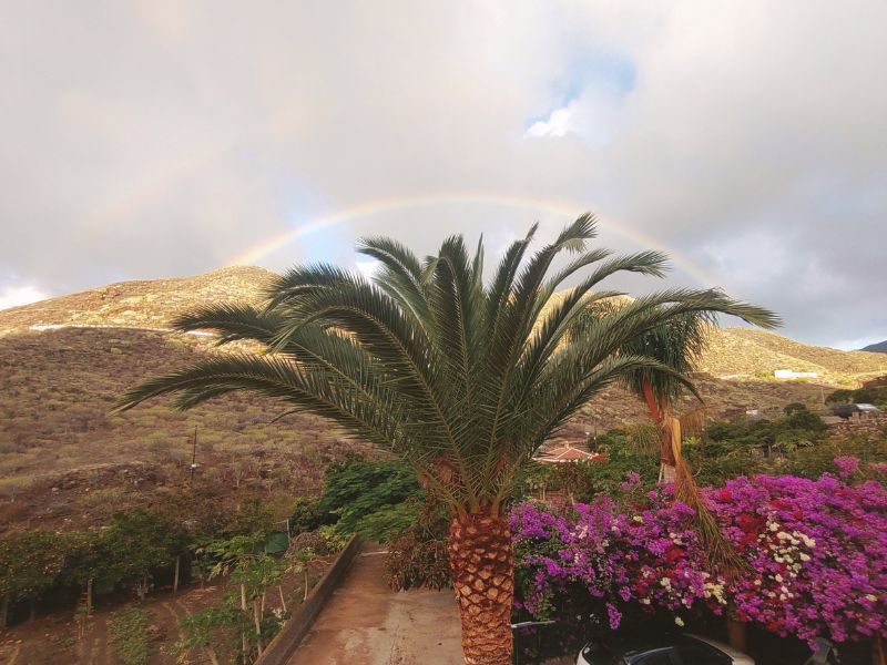 Chipi-chipi op Tenerife