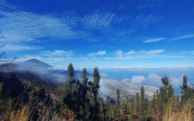 Nieuws framing: Belgisch nieuws volgen vanuit Tenerife
